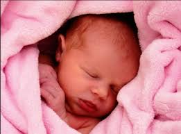 MPA Program Newsletter