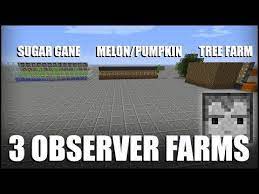 3 Observer Block Farms In Minecraft Youtube In 2021 Minecraft Projects Minecraft Blueprints Minecraft Plans