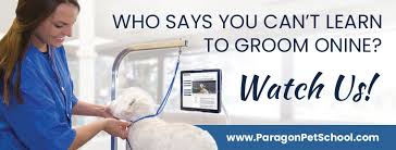The right training program is a tool that will teach you the techniques you will need to secure a happy & amazing career as professional pet groomer. The Paragon School Of Pet Grooming Home Facebook