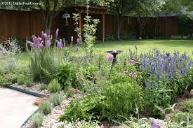*mesic are plants which require well prepared soil, good drainage and moderate to high. Perennial Flowers For North Texas Flowers Perennials Drought Tolerant Garden Texas Landscaping Backyard