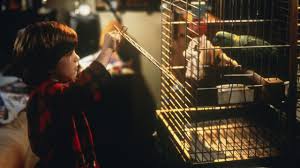 Beaupre, alice, jernigan und unger stehlen einen neuartigen und streng geheimen mikrochip. Wieder Allein Zu Haus Film 1997 Moviebreak De