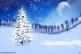 Sheetal Mulay Winter Landscape Using Procreate Digital Drawing Winter Landscape Night Illustration Digital Drawing