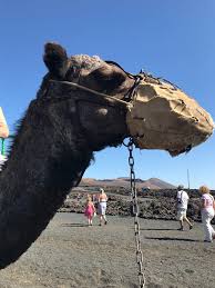 Every single day cause i love my occupation. Travel Volcanoes In Lanzarote