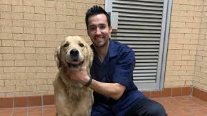 Vets for pets near me 24 hours. Medivet 24 Hour Dearne Valley Emergency Vets Dearne Valley