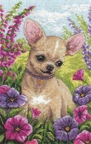 Pin On Cross Stitch Kits