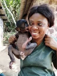 Select from premium baby bonobo of the highest quality. Friends Of Bonobos Lola Ya Bonobo On Twitter Baby Bonobos Refuse To Survive Without The Mother They Have Only One Goal To Die Because They Cannot Live Without Love Claudine Andre It Costs