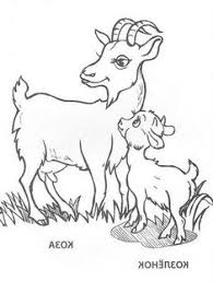  50 Sketsa Gambar Hewan Untuk Mewarnai Anak Ideas Animal Coloring Pages Coloring Pages Farm Animal Coloring Pages