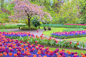 84 spring season wallpapers images in full hd, 2k and 4k sizes. Spring Season By Nadia Sanowar Spring Pictures Spring Wallpaper Spring Nature