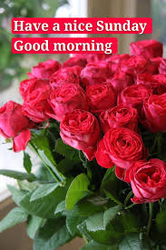 Good morning sunday images and quotes. Good Morning Sunday Images With Nature Novocom Top
