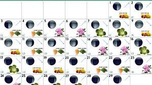 Epingle Sur Jardin
