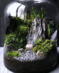 Woodland Terrarium Moss Plant Terrarium Mini Garden
