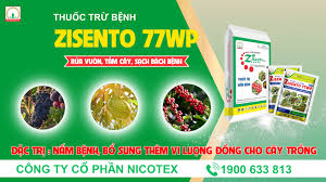 Zisento 77WP
