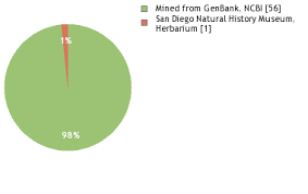 Image result for Thamnosma rhodesica