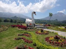 Gambar pemandangan wallpaper gambar pemandangan gambar indah pemandangan alam gambar pantai yang mempesona wallpaper pemandangan alam sawah di pegunungan indahnya gambar pemandangan alam pegunungan dan sawah sumber : 24 Gambar Pemandangan Alam Pegunungan Terkini Lingkar Png