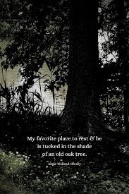 This is a step by step easy tutorial for finding abandoned. Nature Quotes For The Wandering Soul Mom Soul Soothers