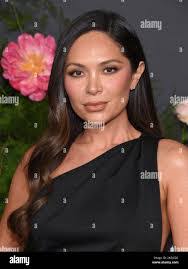 Lisa Hewitt's Instagram, Twitter & Facebook