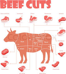 How many steaks from a cow? Vector Beef Cuts Chart And Pieces Of Stock Vector Colourbox