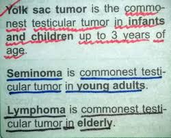 Testicular Tumors 01 Note Seminomas Are The Most Common Germ Cell Tumor Testicular Tumor Tumor Sonography
