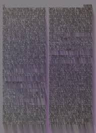 Image result for Hibiscus nigricaulis