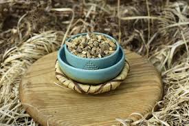 Image result for Helinus