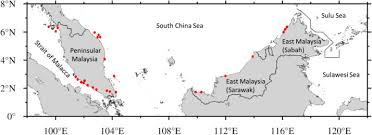 Part vii of the ordinance requires that special inquiries and investigations take place whenever there are. Marine Debris In Malaysia A Review On The Pollution Intensity And Mitigating Measures Sciencedirect
