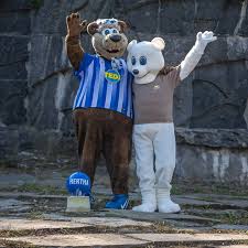 Hertha bsc hat herthinho, alba berlin den albatros, die füchse ihren fuchsi und die eisbären einen bully. Tierpark Berlin Unser Maskottchen Hat Die Einladung Von Facebook
