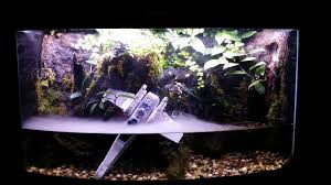 Xwing Terrarium Fish Tank Fish Tank Decorations Aquarium