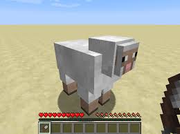 Biomes O Plenty Wiki Https Encrypted Tbn0 Gstatic Com Images Q Tbn 3aand9gcqcjckcjq4wro9fqoifsx7xyr9bzwerd2hikw Usqp Cau