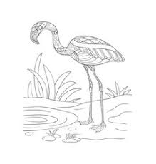 We did not find results for: Coloring Book Flamingo Adults Vector Images 38