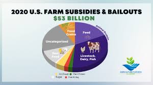 نتیجه جستجوی لغت [subsidy] در گوگل
