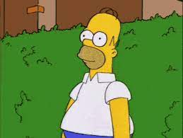 Homer Simpson Homer Simpson The Simpsons Funny
