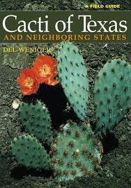 The african peyote cactus is built with thick stems. And Neighboring States
