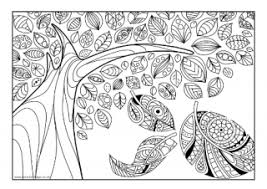 Collect the leaves autumn maze for kids. Autumn Tree Colouring Page