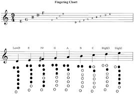 Staff Letter Names And Recorder Fingering Chart