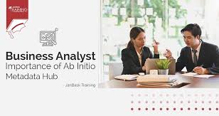 Importance Of Ab Initio Metadata Hub In The Life Of Business Analyst In 2020 Business Analyst Analyst Life