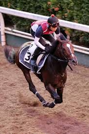 小倉記念 g3 出馬表(2021年8月15日 小倉11r) 予想に役立つ馬トク出馬表、独自の指数がご利用いただけます。 Gr7jw3zkr3eqvm
