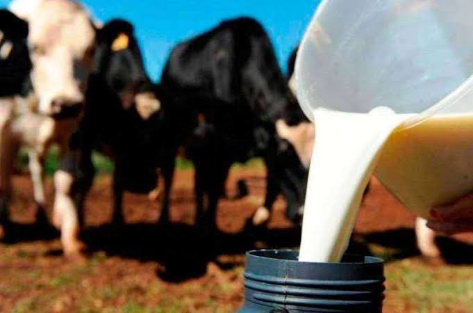 Custo de Produção de Leite Atinge Alta de 4,13% em 2023, Ameaçando Margens dos Produtores