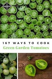 167 Best Ways To Use Green Tomatoes Gardening Channel Green Tomato Recipes Grilled Green Tomatoes Green Tomatoes