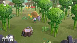 I am making a pelican town replica in acnh! How To Get Bamboo Shoots Fast Acnh Animal Crossing New Horizons Switch Game8