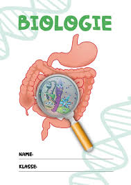⬇⬇⬇mehr infos und übungen gibt es in der beschreibung⬇⬇⬇in diesem video erklären wir dir ganz. Deckblatt Biologie 2 Bio Deckblatt Deckblatt Deckblatt Schule
