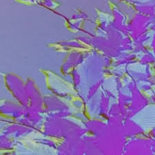 Art + Design Senior Show 2021