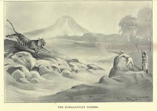 Tigers in Bangalore in the Colonial era