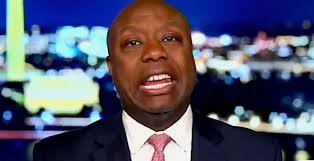 Tim Scott's Totally Confusing Trump Pitch On Fox News Is Mocked On Social  Media