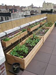 50 Inspiring Ideas Vertical Vegetable Garden Designs Vegetable Garden Design Rooftop Terrace Design Garden Beds