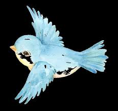 1 2 3 Brayson Pratt 4 Kaden Showers 5 Joseph Mann David Parker Aaron Pratt  6 Hayley Buesing 7 8 Noah Christensen Marcy Heeren Co