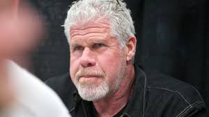 Brandon's father, ron perlman has the total of $15 million as his net worth. Web To Watch Ron Perlman Stars In Amazon Studios Pilot