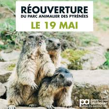 Marmots, chamoix and ibex inhabit rocky hills; Jvl6smgjhwaz4m