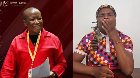 Ngizwe Mchunu Extends Olive Branch to Julius Malema