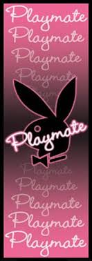Shop affordable wall art to hang in dorms, bedrooms, offices, or anywhere blank walls aren't welcome. Pink Playboy Bunny Logo Neon Playmate Door Poster Popartuk