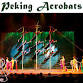 Peking Acrobats event in Carmel, IN
